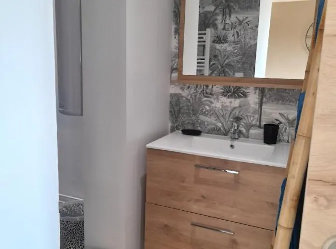 Appartement Refait à Neuf